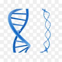 蓝色dna遗传物质基因肽链脱氧