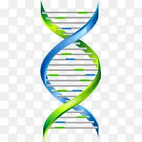 卡通彩色DNA结构图png