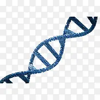 dna遗传物质藏青色基因肽链脱