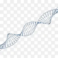 灰色dna遗传物质基因肽链脱氧