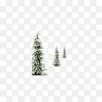 三棵雪地里的松树