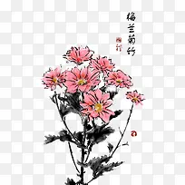 水墨菊花