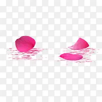 粉色玫瑰花瓣美景水波