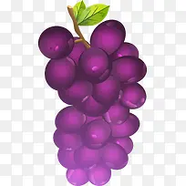 精美的紫葡萄