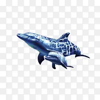 海底的海豚