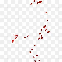 红色花瓣漂浮