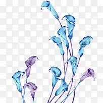 手绘花