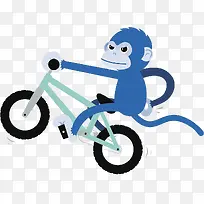 酷猴子骑单车
