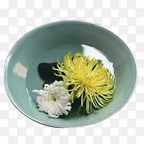 碗里的菊花