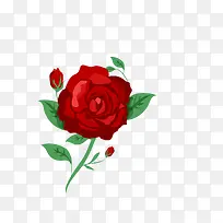 矢量手绘红色一枝玫瑰