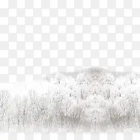 树