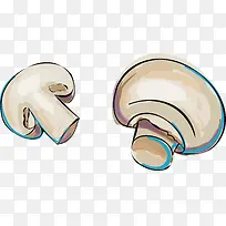 两个白蘑菇