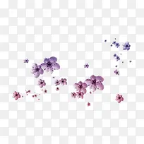 紫色花瓣装饰