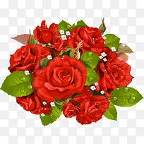 带水珠的红色玫瑰花束