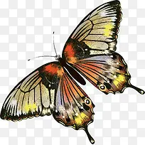 中国风手绘彩色蝴蝶