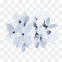 浅蓝色个性花朵手绘
