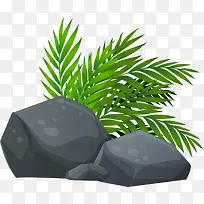 春天石堆里的小草