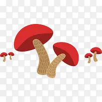 秋季立秋成熟蘑菇