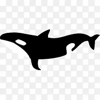 黑色大海游动鲸鱼