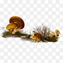 复古草地蘑菇