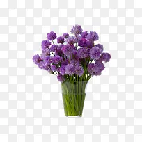 水杯中的紫色花