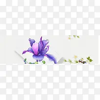 护肤品紫色花卉唯美背景banner