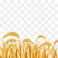 矢量金色农作物燕麦粒