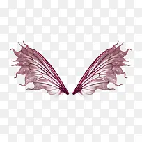 粉色的半透明翅膀