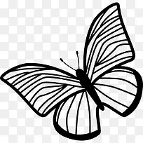 蝴蝶的翅膀薄条纹旋转到左图标