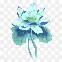一枝蓝莲花