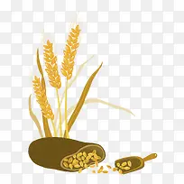 粮食作物麦穗