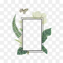 手绘植物相框和蝴蝶