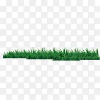 一片绿色的小草