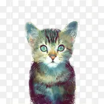 手绘水彩猫咪