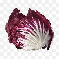 紫菊苣免抠图片