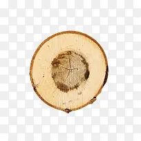 棕色圆形带裂纹木头截面实物