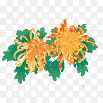 重阳节手绘菊花元素