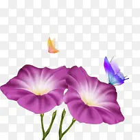 蝴蝶和喇叭花