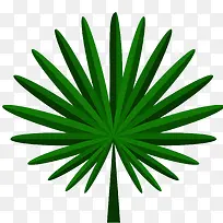 绿色棕榈树叶矢量