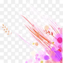 紫色花卉
