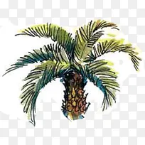 高清创意漫画风格手绘椰子树