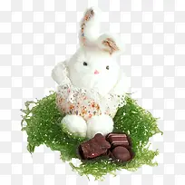 小白兔巧克力礼物