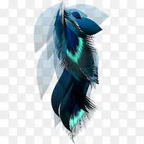 美丽的羽毛幻影图