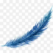 蓝色弯曲的羽毛