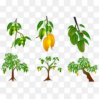 矢量图成熟的芒果