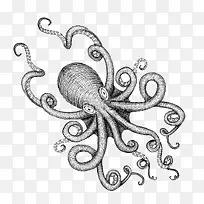 黑白卡通章鱼海怪插图
