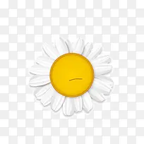 花朵 金黄色 太阳花  白色的花瓣
