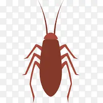 红色蟑螂矢量昆虫标本