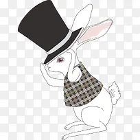 戴着帽子的兔子