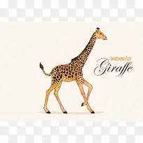 矢量水彩画的长颈鹿
